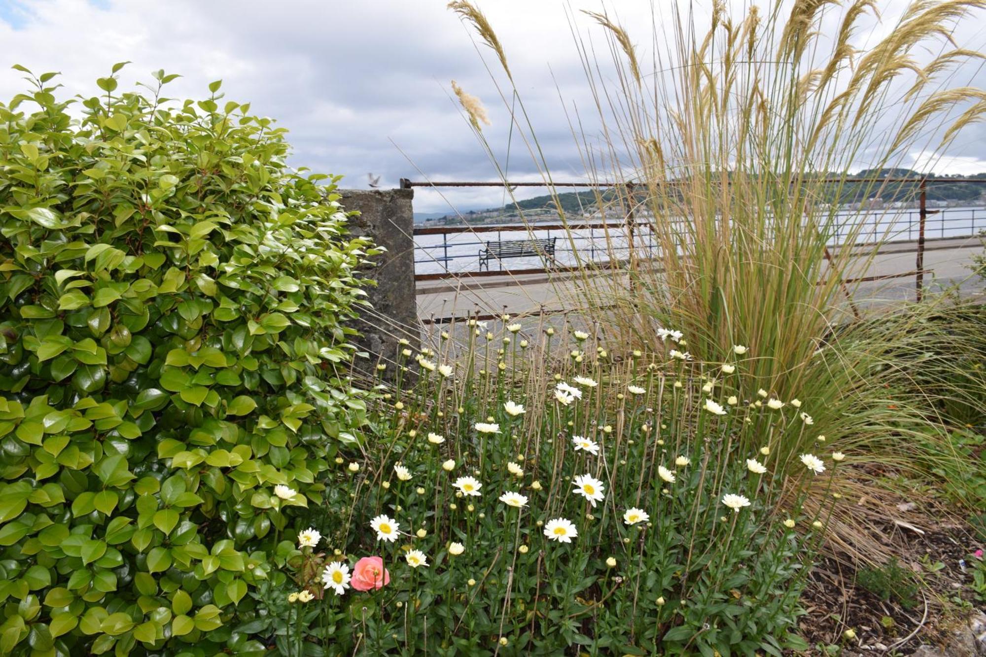 One Marine Place Port Bannatyne Bagian luar foto
